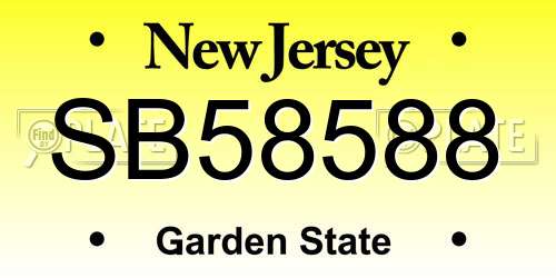 SB58588 New Jersey License Plate