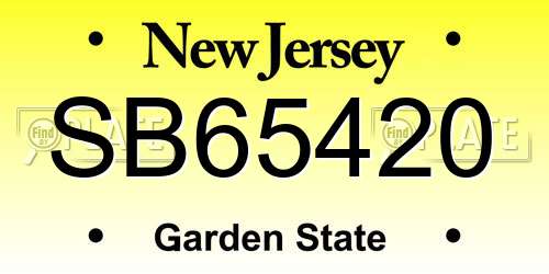 SB65420 New Jersey License Plate