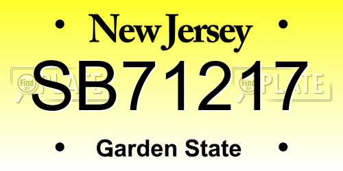 SB71217 New Jersey License Plate