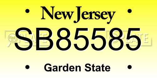 SB85585 New Jersey License Plate