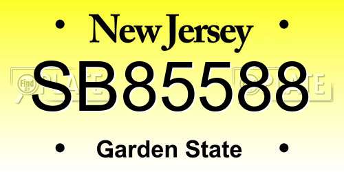SB85588 New Jersey License Plate