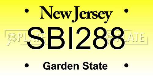 SBI288 New Jersey License Plate