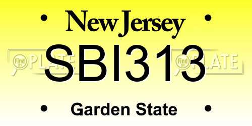 SBI313 New Jersey License Plate
