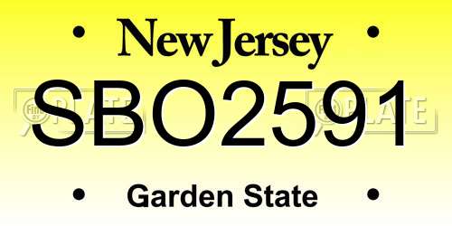 SBO2591 New Jersey License Plate