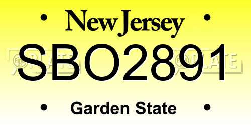 SBO2891 New Jersey License Plate