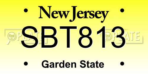 SBT813 New Jersey License Plate