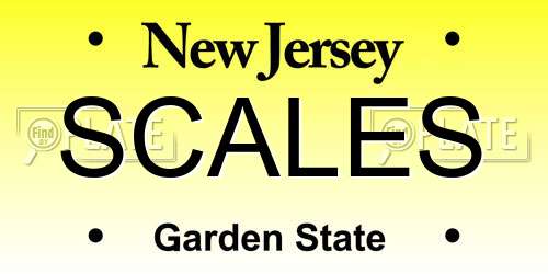 SCALES New Jersey License Plate