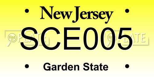 SCE005 New Jersey License Plate