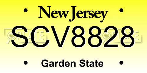 SCV8828 New Jersey License Plate