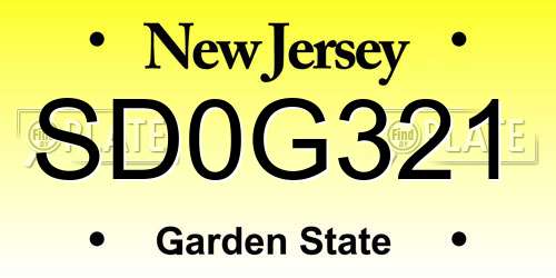 SD0G321 New Jersey License Plate