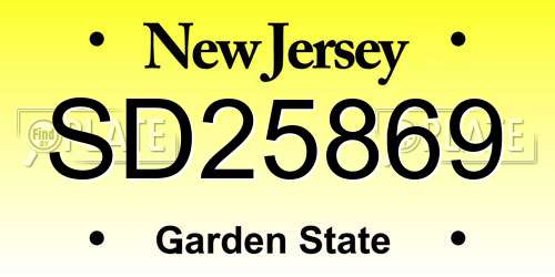 SD25869 New Jersey License Plate