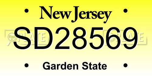 SD28569 New Jersey License Plate