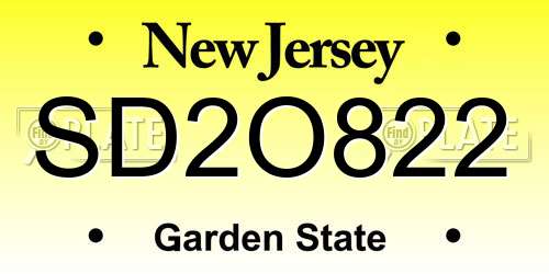 SD2O822 New Jersey License Plate