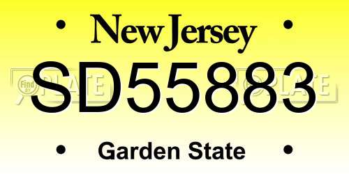 SD55883 New Jersey License Plate