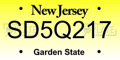 SD5Q217 New Jersey License Plate