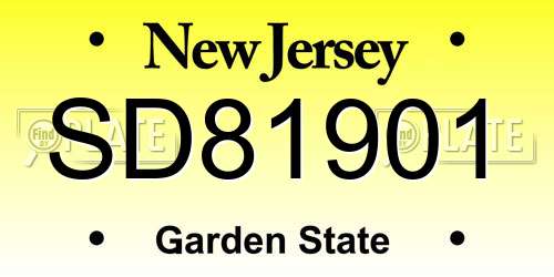 SD81901 New Jersey License Plate
