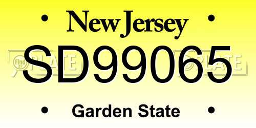 SD99065 New Jersey License Plate