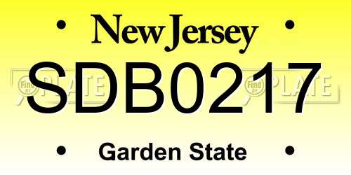 SDB0217 New Jersey License Plate