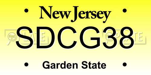 SDCG38 New Jersey License Plate