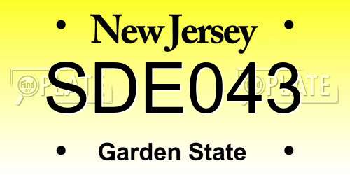 SDE043 New Jersey License Plate