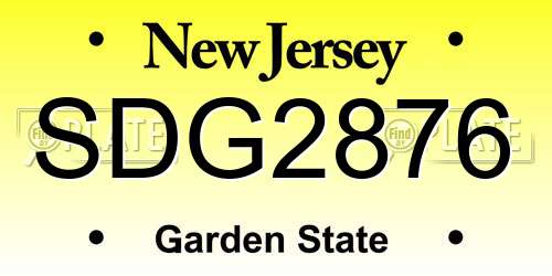 SDG2876 New Jersey License Plate
