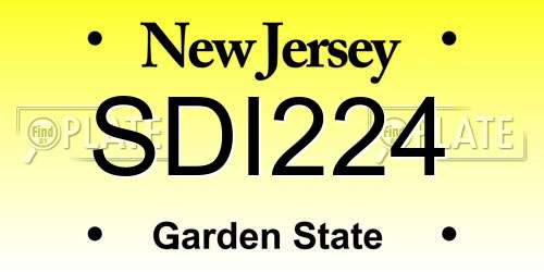 SDI224 New Jersey License Plate