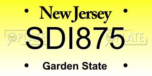 SDI875 New Jersey License Plate