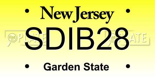 SDIB28 New Jersey License Plate