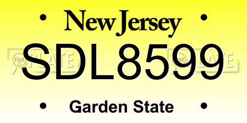 SDL8599 New Jersey License Plate
