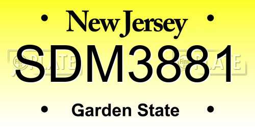 SDM3881 New Jersey License Plate