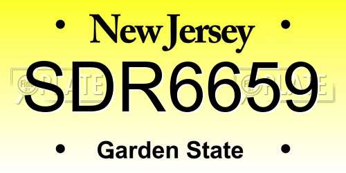 SDR6659 New Jersey License Plate