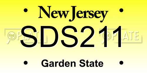 SDS211 New Jersey License Plate