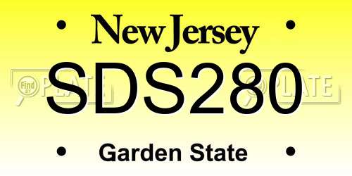 SDS280 New Jersey License Plate