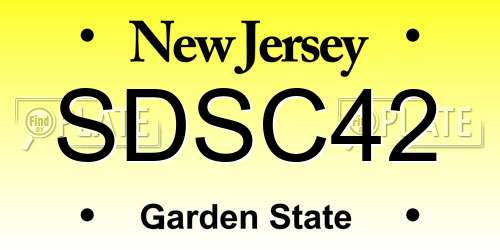 SDSC42 New Jersey License Plate