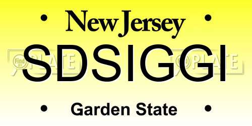 SDSIGGI New Jersey License Plate