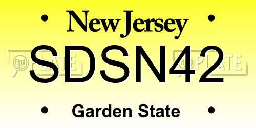 SDSN42 New Jersey License Plate