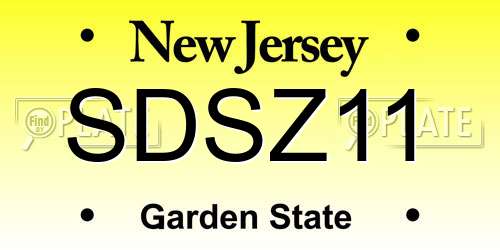 SDSZ11 New Jersey License Plate
