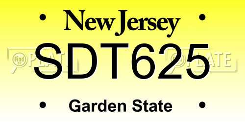 SDT625 New Jersey License Plate
