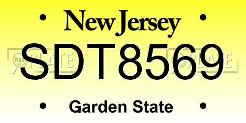 SDT8569 New Jersey License Plate