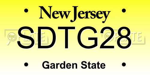 SDTG28 New Jersey License Plate
