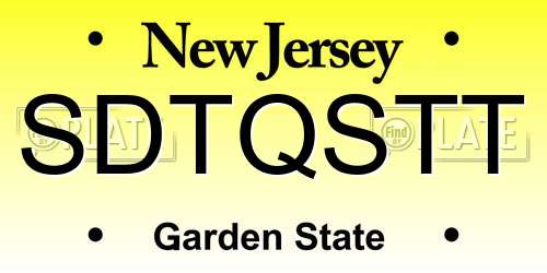 SDTQSTT New Jersey License Plate
