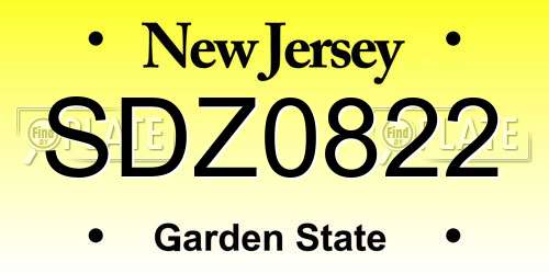 SDZ0822 New Jersey License Plate