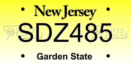SDZ485 New Jersey License Plate