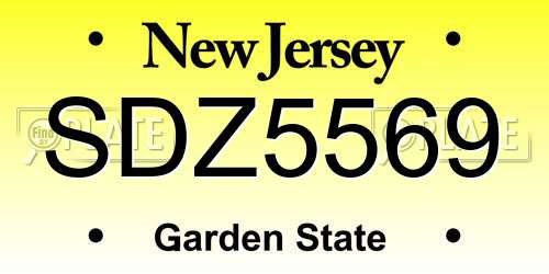 SDZ5569 New Jersey License Plate