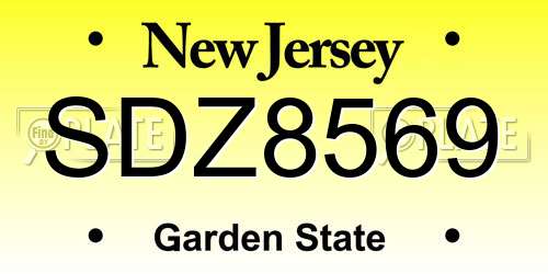 SDZ8569 New Jersey License Plate