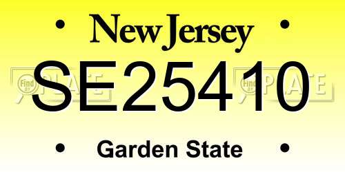 SE25410 New Jersey License Plate