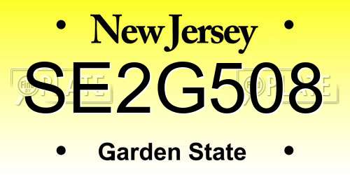 SE2G508 New Jersey License Plate