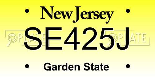 SE425J New Jersey License Plate