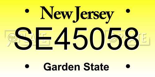 SE45058 New Jersey License Plate