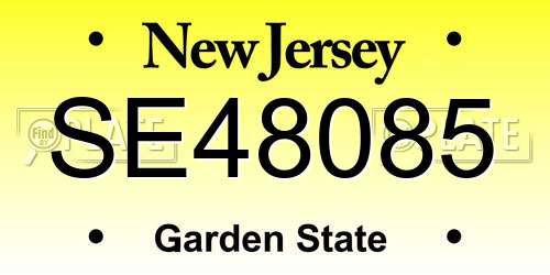SE48085 New Jersey License Plate